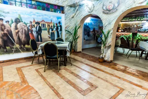 Pictura cu satul transilvan